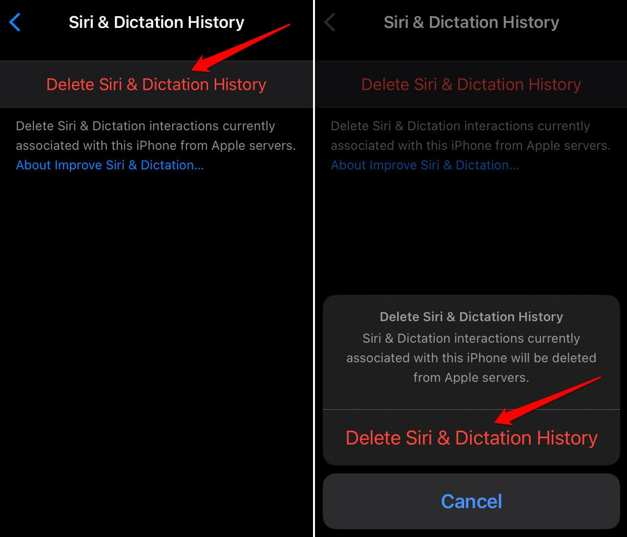 How to Fix Siri Keeps Saying 'Something Went Wrong' on iPhone 7 delete Siri and dictation history
