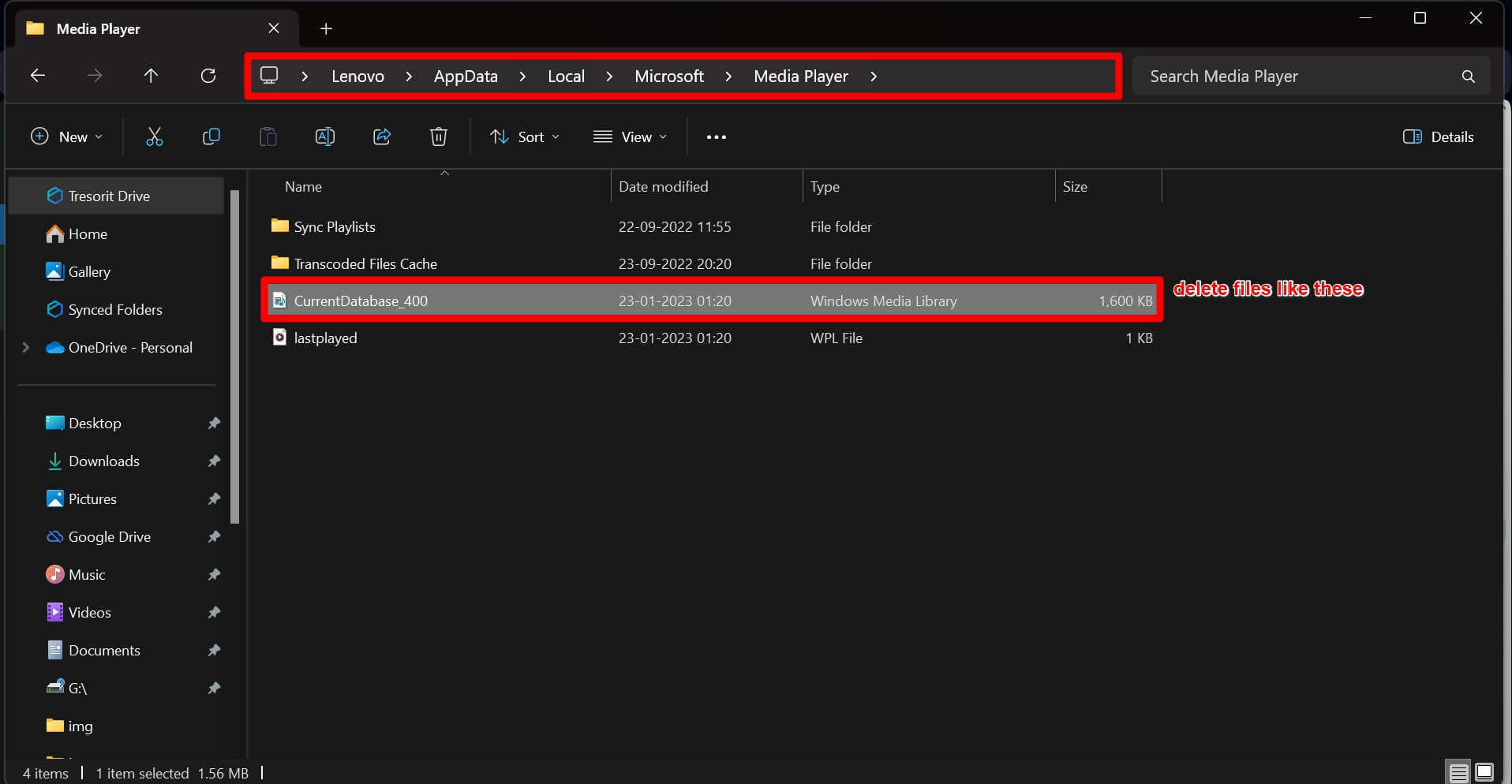 How to Fix 'Windows Media Player Has Stopped Working' Error on Windows 11 24 delete the Windows media library