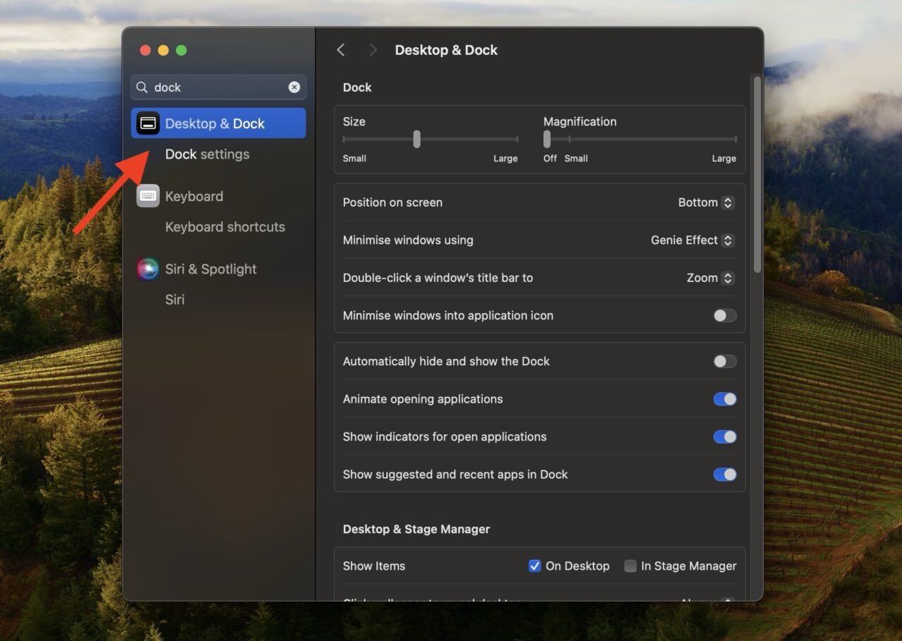 Dock Disappeared on Mac? Here’s How to Recover It 3 Dock Settings