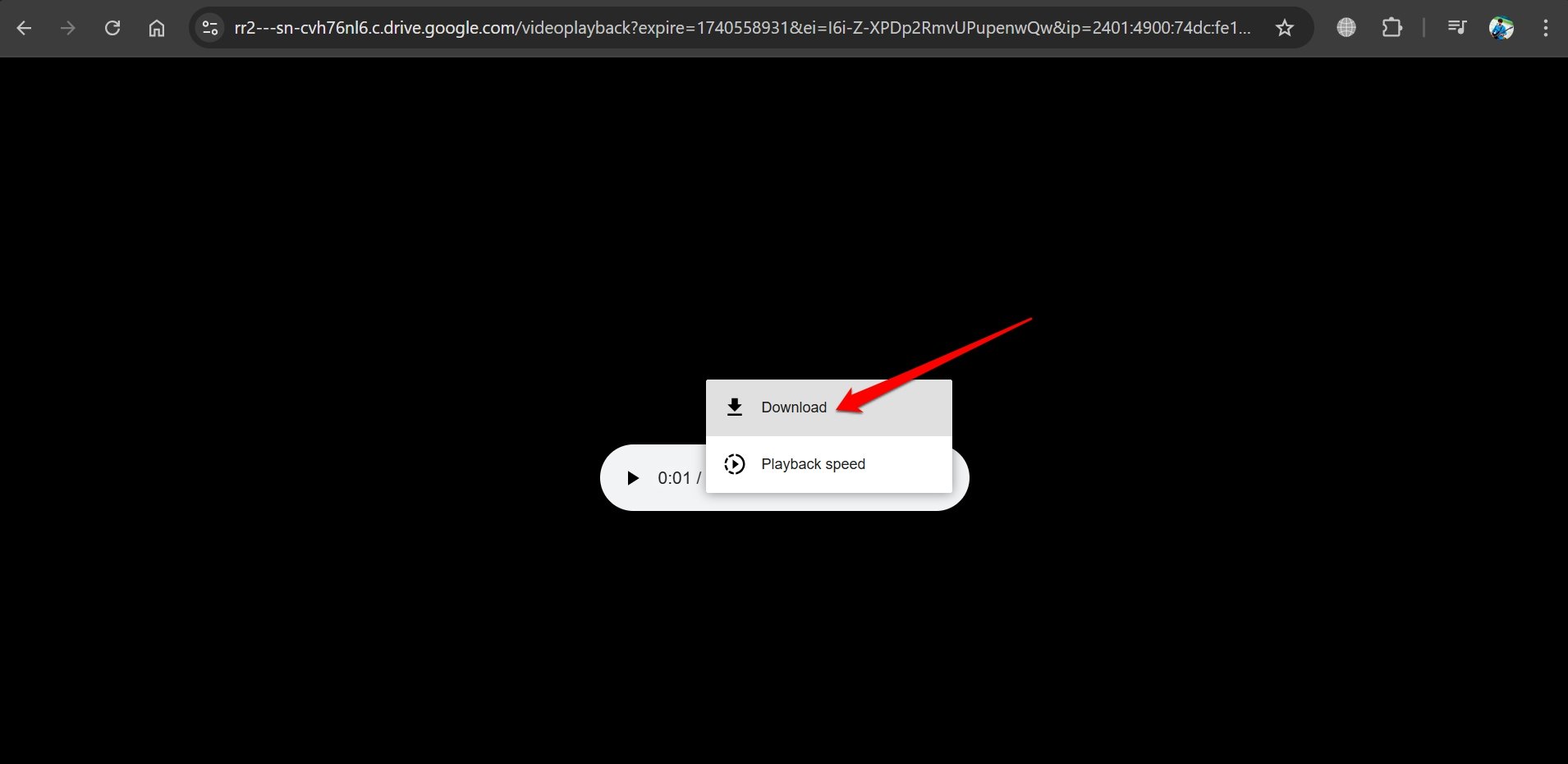Download Protected Google Drive Videos: Save Restricted Video 15 download audio from restricted google drive video