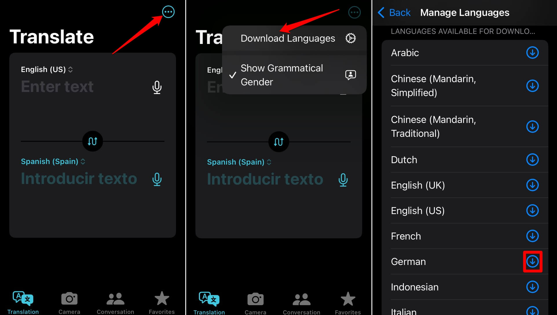 How to Fix Translate App Not Working on iPhone in iOS 17 6 download language in the iOS translate app