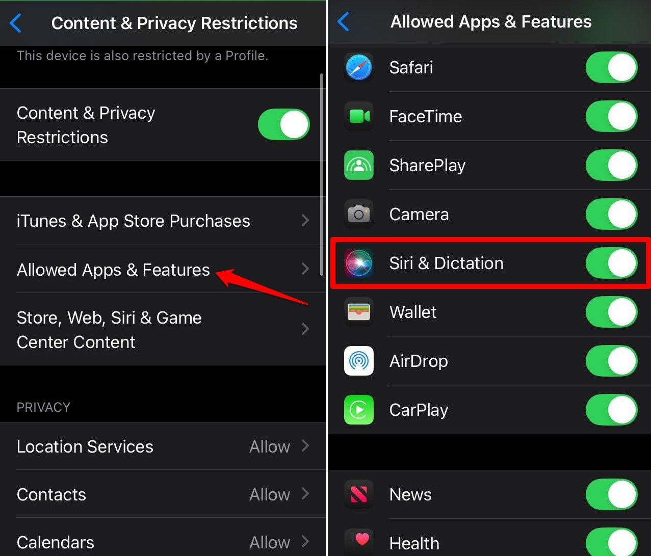 How to Reset Siri on Your iPhone? 6 enable Siri and dictation in iOS 18