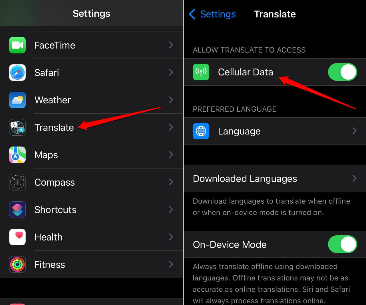 How to Fix if iMessage is Signing You Out on iPhone 3 enable cellular data for iOS translate app