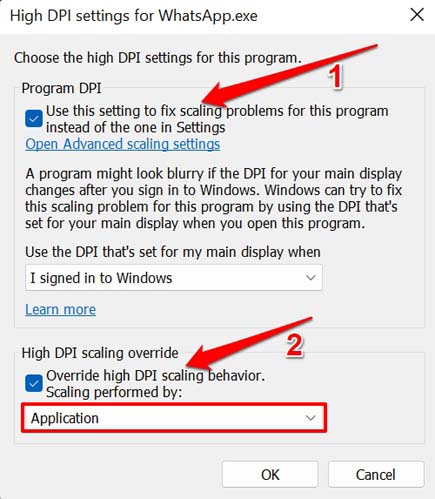 How to Fix Blurry Screen Issue on Windows 11? 7 enable high DPI override