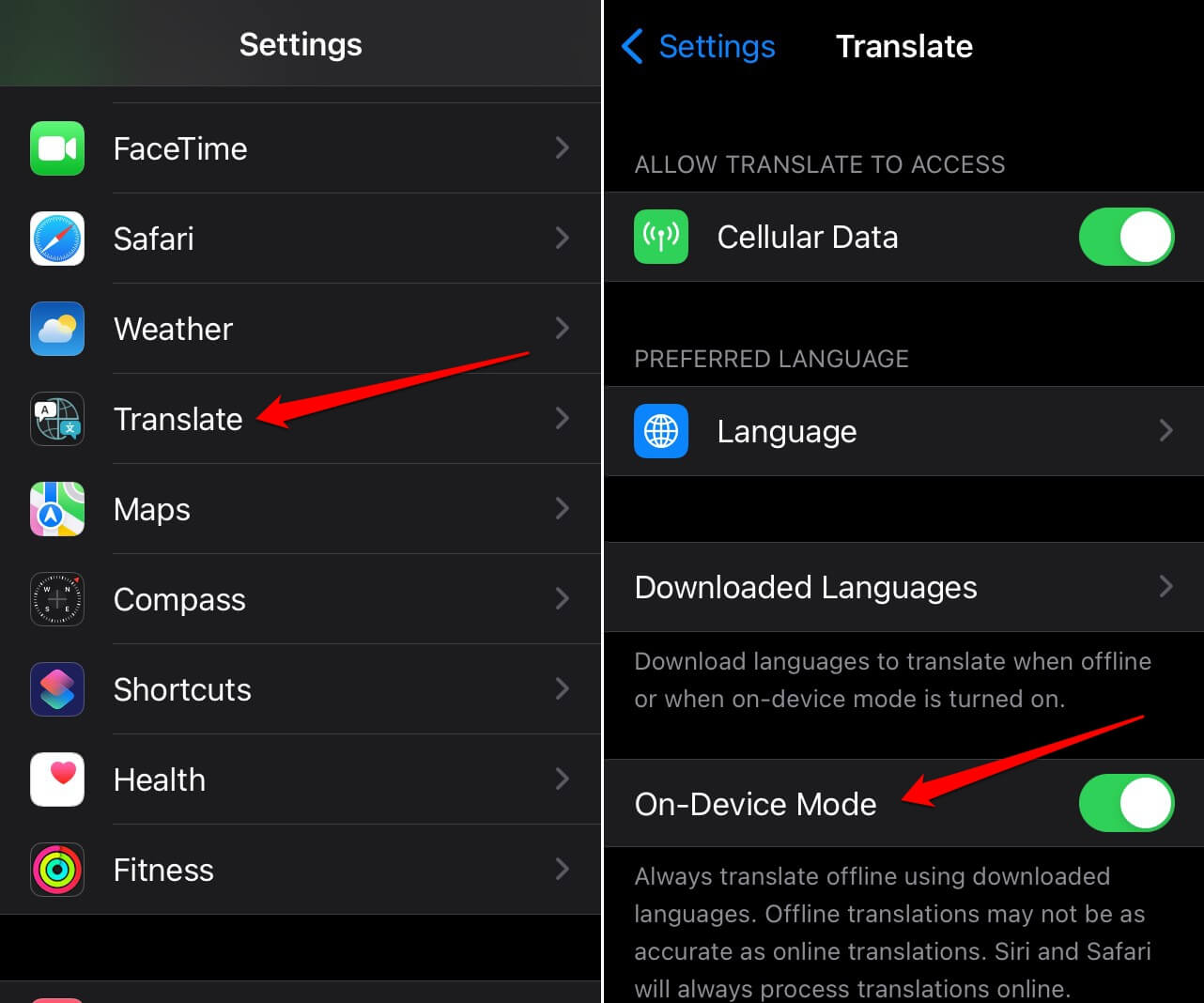 How to Fix Translate App Not Working on iPhone in iOS 17 3 enable on device mode for iOS Translate app