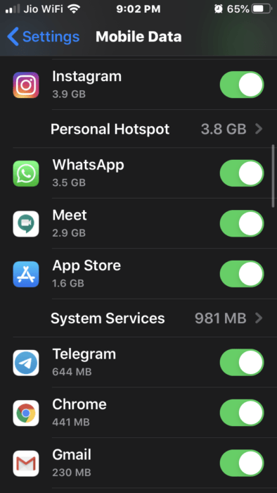 Fix iPhone Won't connect to the app store 4 enable permissions