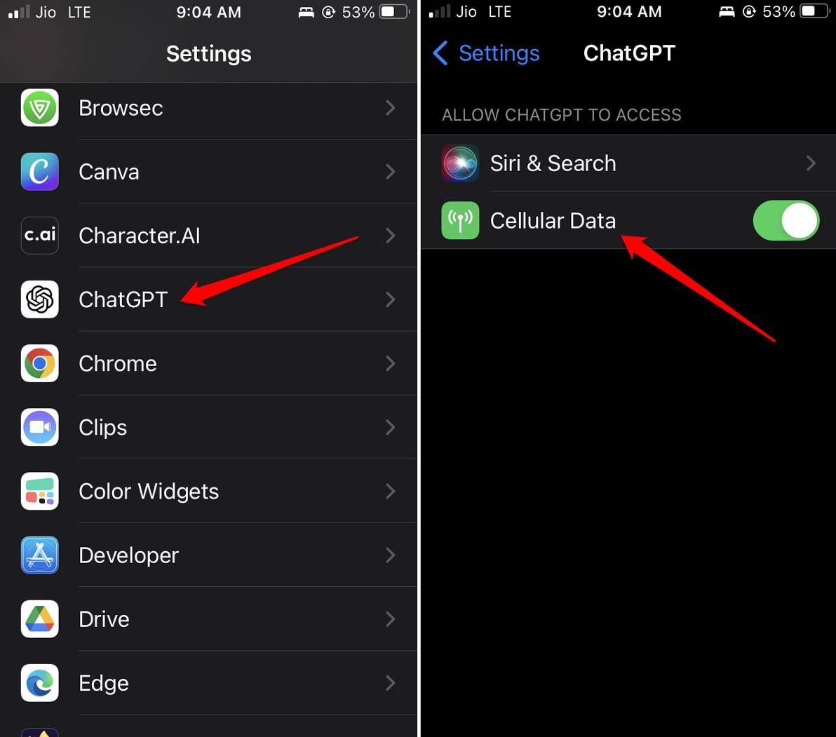 How to Fix ChatGPT App Not Working on iPhone? 3 enable permissions for ChatGPT app iPhone