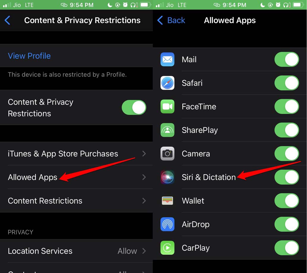 How to Fix iPhone Dictation Not Working? 10 enable siri and dictation on iPhone
