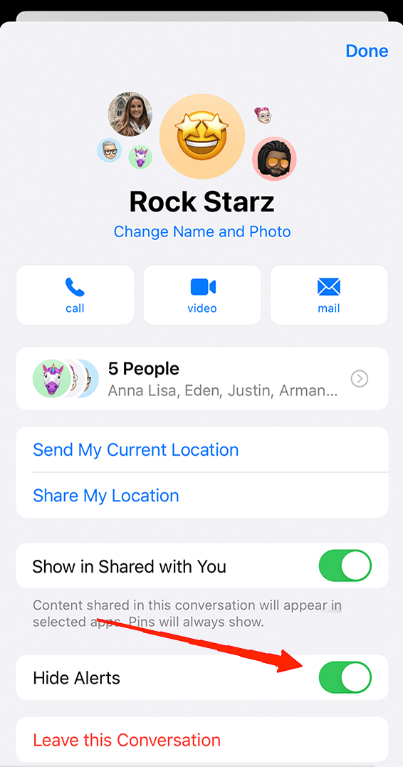 How to Use iMessage Group Chat on iPhone? 14 enable the toggle next to the Hide Alerts option