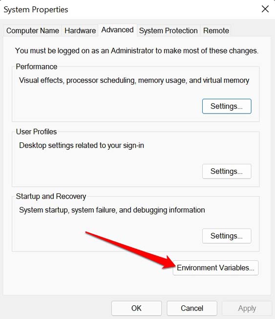 environment variables