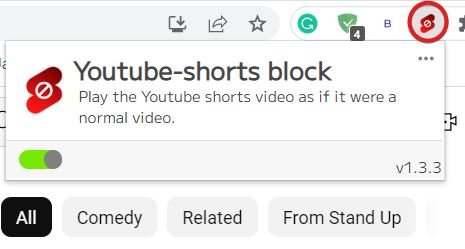 How to Fast Forward or Rewind Youtube Shorts? 11 enable extension YouTube Shorts Block