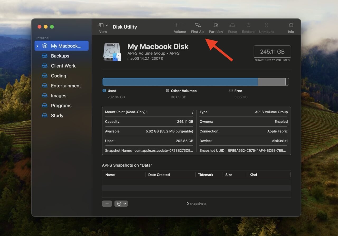 Safari Keeps Crashing on Mac? Here’s How to Fix it 11 First Aid Disk