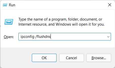 flush dns cache in windows 11 via run