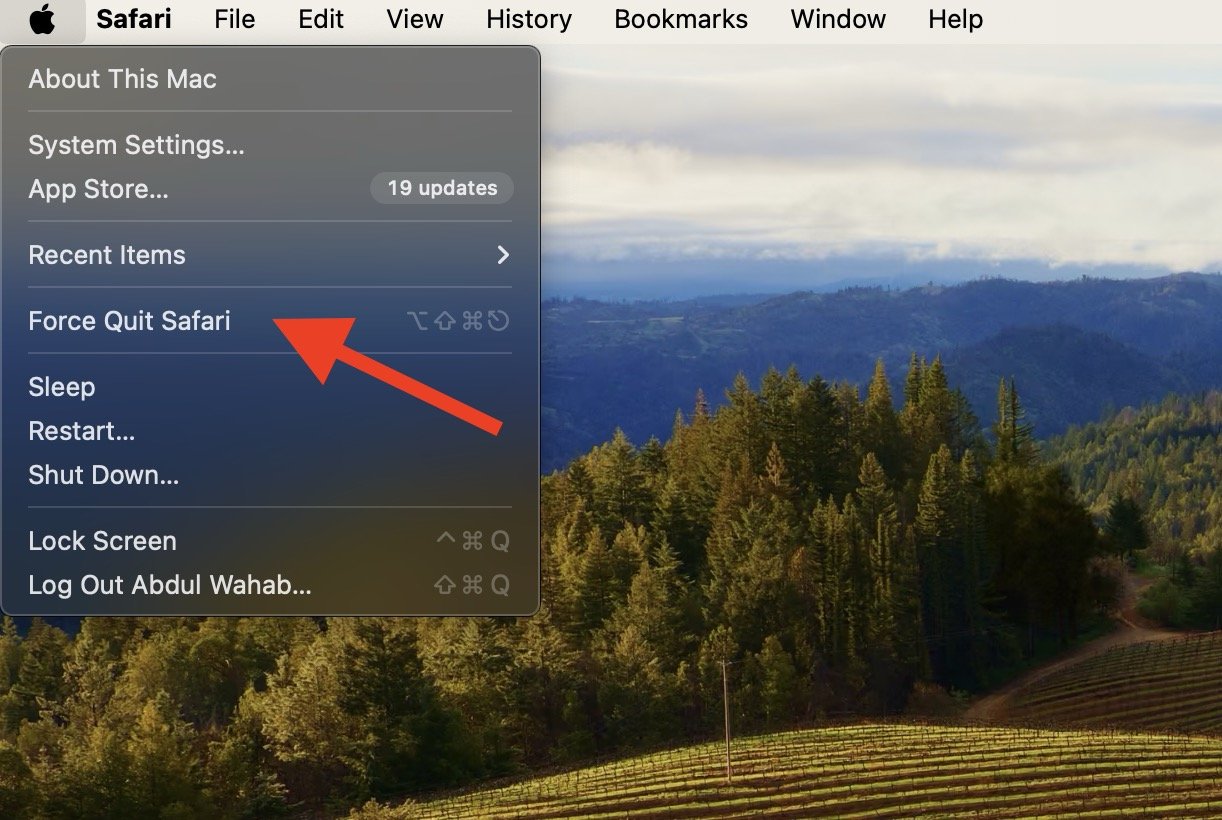 Safari Keeps Crashing on Mac? Here’s How to Fix it 2 Force quit safari
