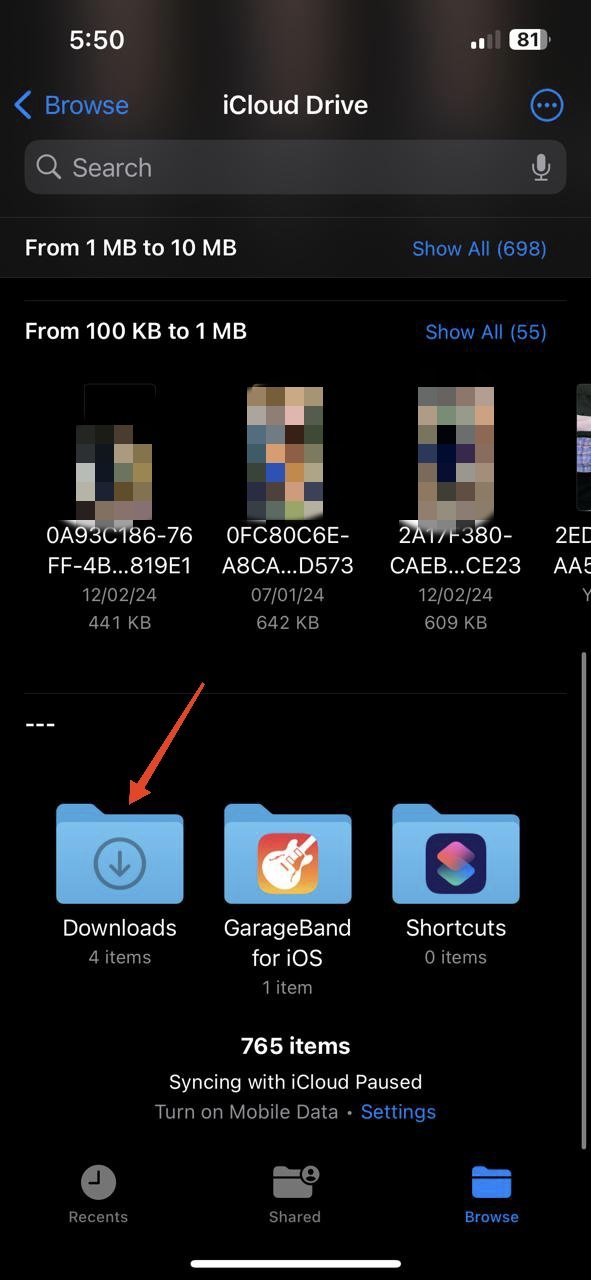 Find iPhone Downloads: Ultimate Guide 11 force-touch or tap & hold the Download folder