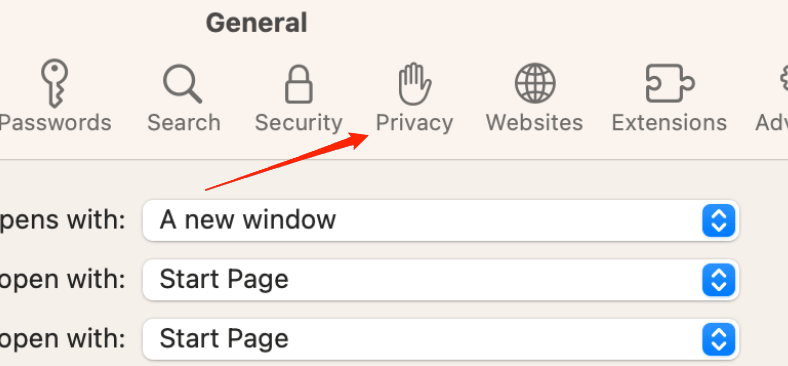 How to Fix WhatsApp Web Not Working in Safari on Mac? 4 go to the Privacy tab