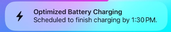 What is Optimized Battery Charging on iPhone and How to Enable it? 2 how optimized battery charging works in iPhone