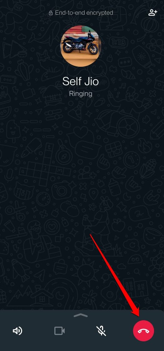 What Do the Different Icons and Symbols Mean on WhatsApp 49 how to end the WhatsApp call
