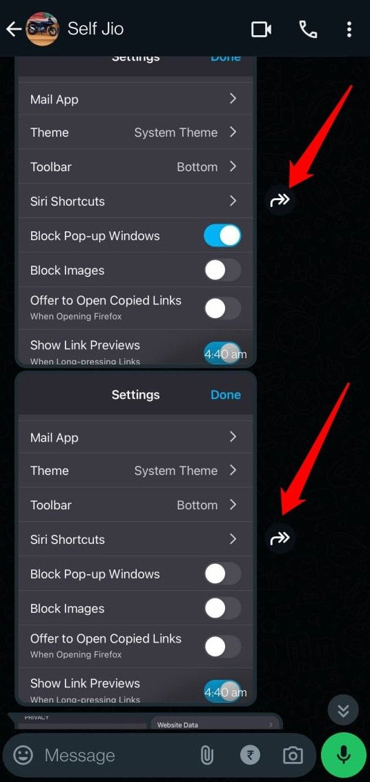 What Do the Different Icons and Symbols Mean on WhatsApp 18 how to forward an image in WhatsApp