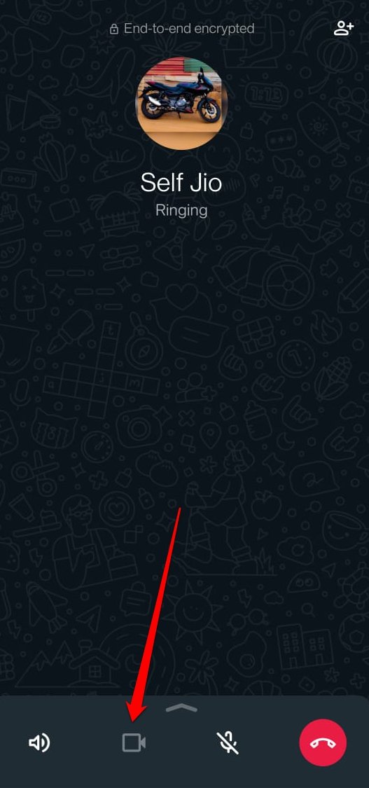 What Do the Different Icons and Symbols Mean on WhatsApp 46 how to switch from audio call to video call on WhatsApp