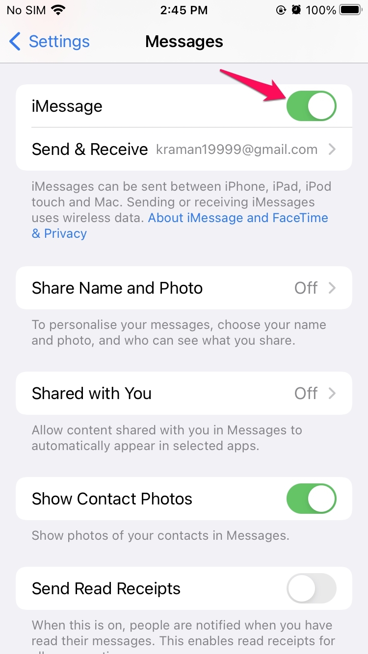 How to Fix 'iMessage Not Delivered' Error on iPhone? 3 iMessage option