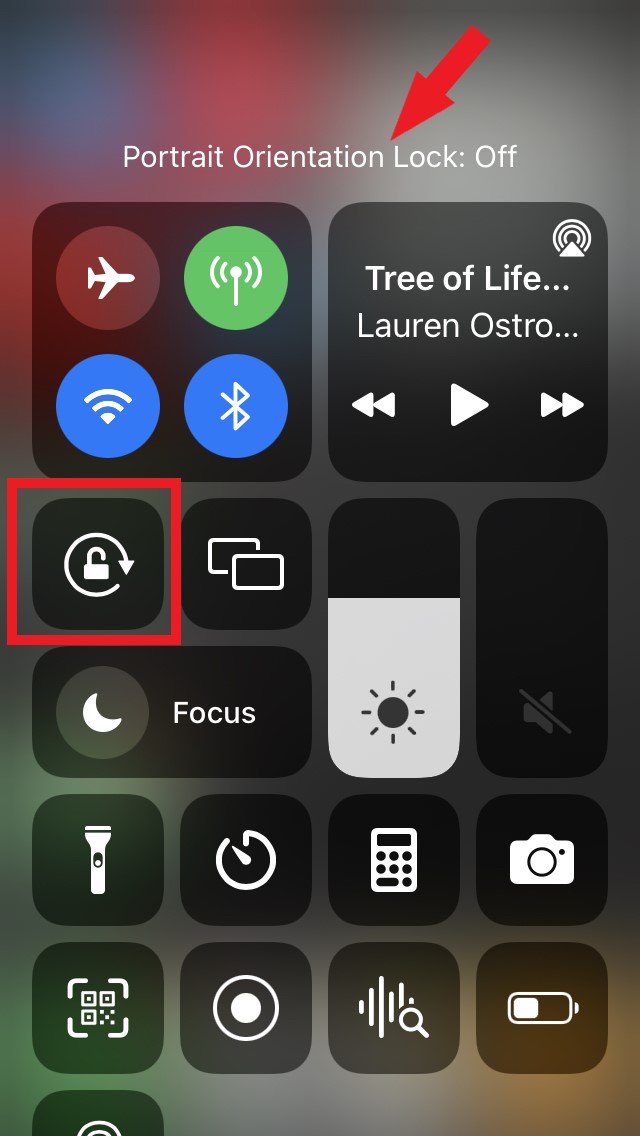How to Fix Auto Rotate Not Working in iPhone? 2 iOS portrait orientation