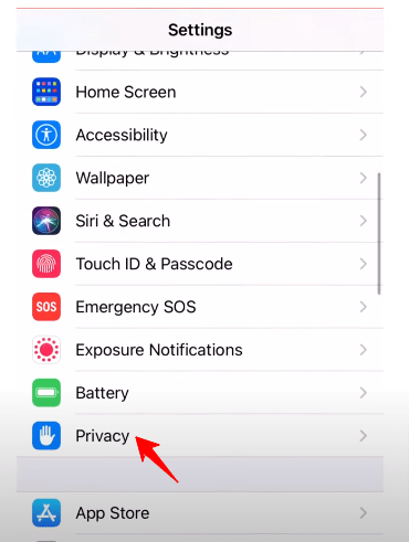 iPhone Privacy Settings