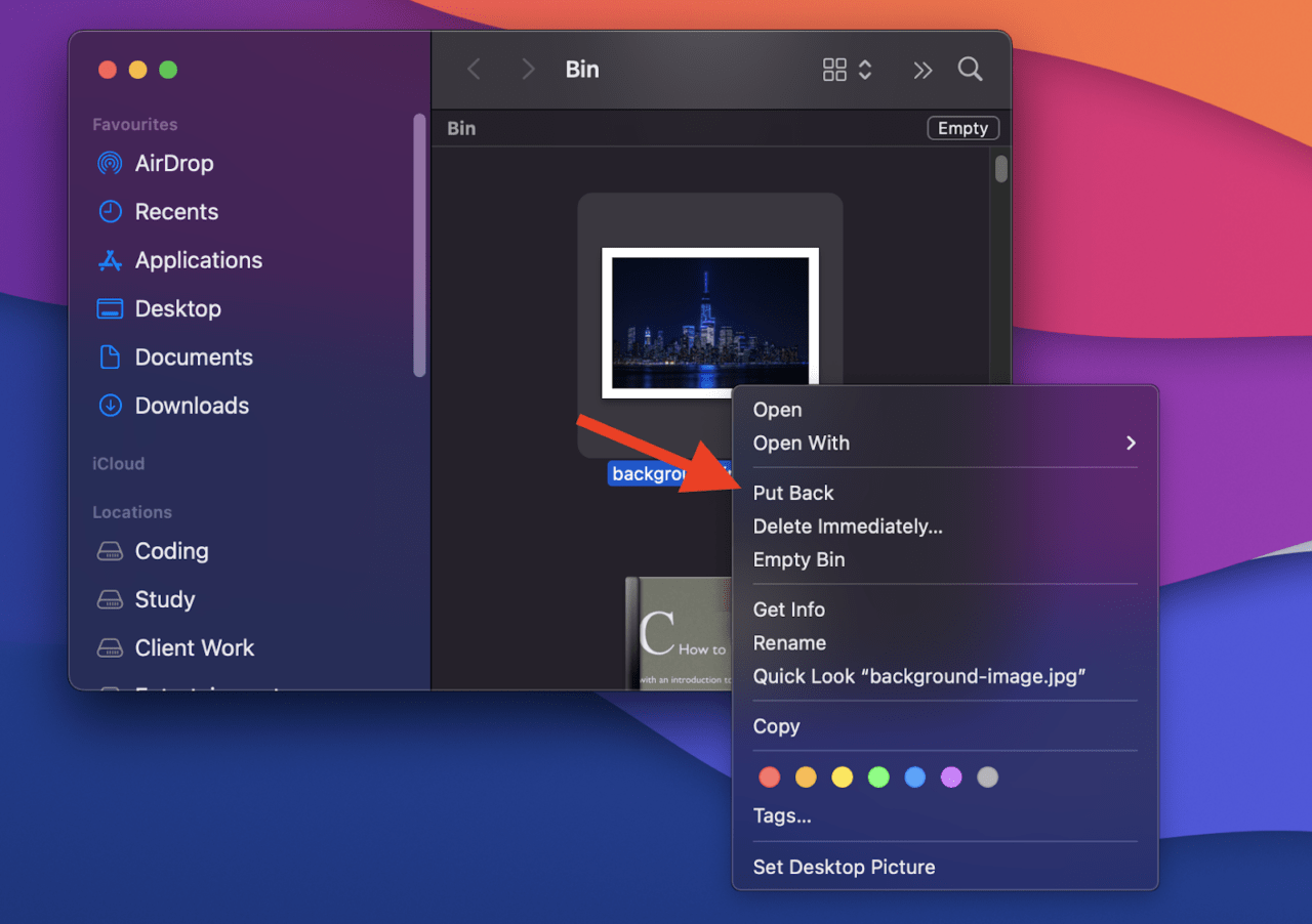How to Recover Deleted Files on Mac? 4 Put back file