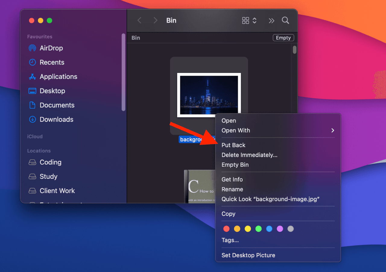 How to Recover Missing Files After Mac Update? 13 Put back Mac