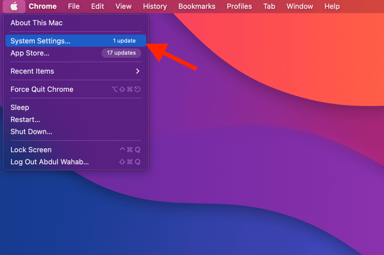 How to Recover Missing Files After Mac Update? 8 System settings Mac