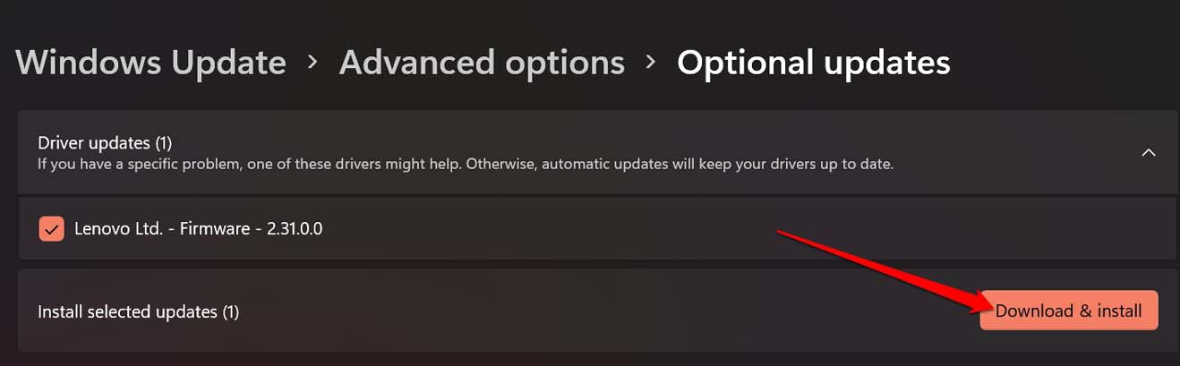 Display Resolution Not Changing in Windows 11: Fix it Now 22 install optional updates
