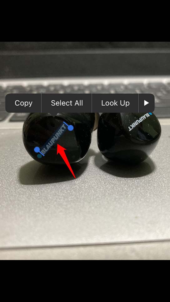 Live Text Not Working on iOS 15: How to Fix 7 live text feature iOS 15
