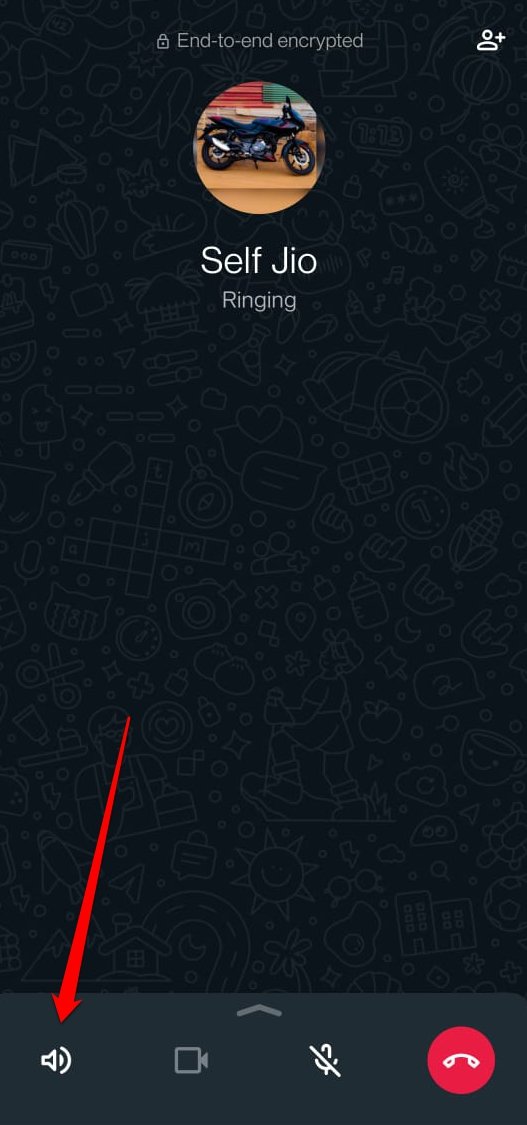 What Do the Different Icons and Symbols Mean on WhatsApp 45 manage the volume of WhatsApp audio call