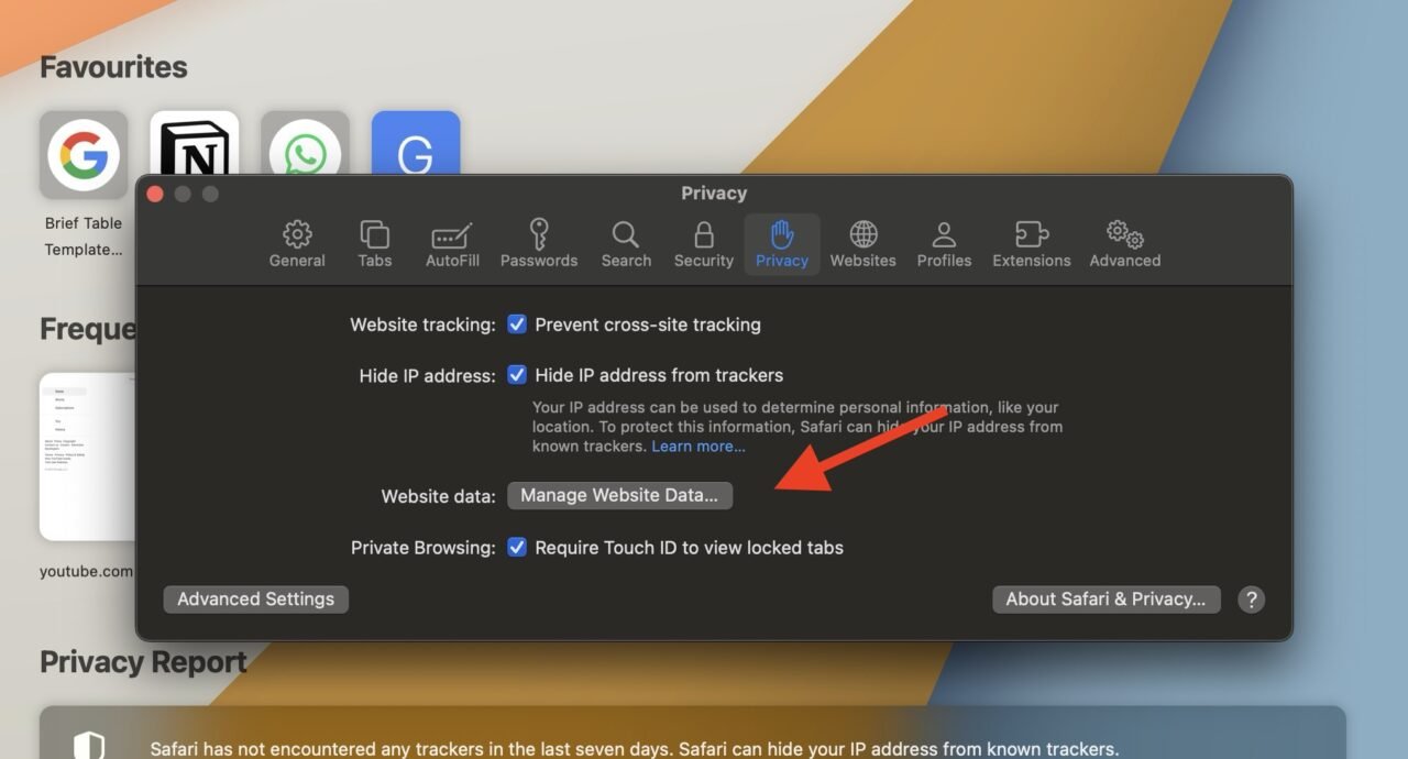 Safari Keeps Crashing on Mac? Here’s How to Fix it 9 Manage Website Data