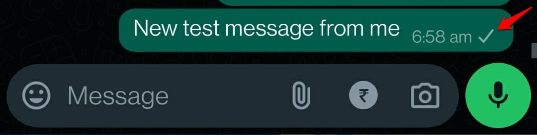What Do the Different Icons and Symbols Mean on WhatsApp 17 meaning of WhatsApp single grey tick