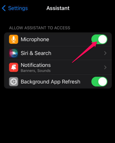 How to Fix Google Assistant Not Working on iPhone? 2 Google Assistant Not Working on iPhone