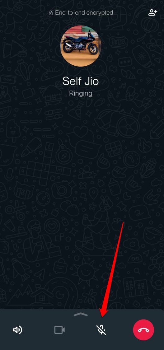 What Do the Different Icons and Symbols Mean on WhatsApp 47 mute audio of WhatsApp call