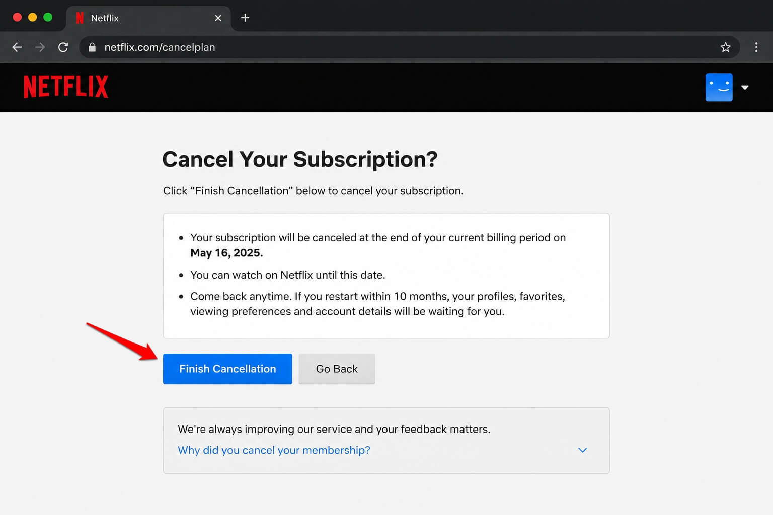 I cancelled Netflix, Max, and Hulu then came back to just one 2 netflix subscription cancellation