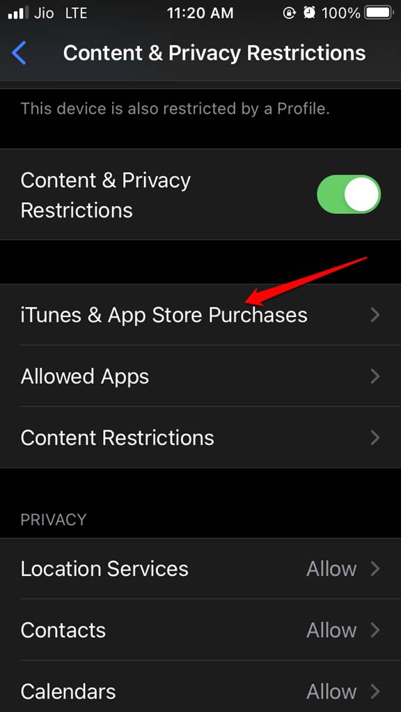Unable to Delete Apps on iOS 15 for iPhone: How to Fix 8 open itunes app store purchases