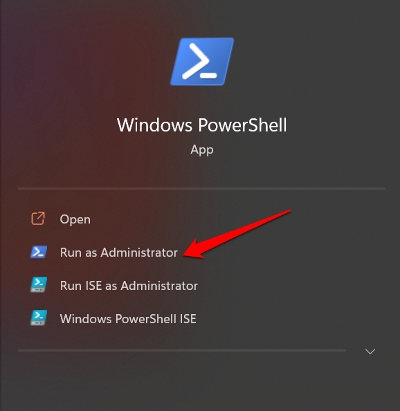 How to Check or Change Registered Owner and Organization Name in Windows 11? 3 open windows powershell as administrator