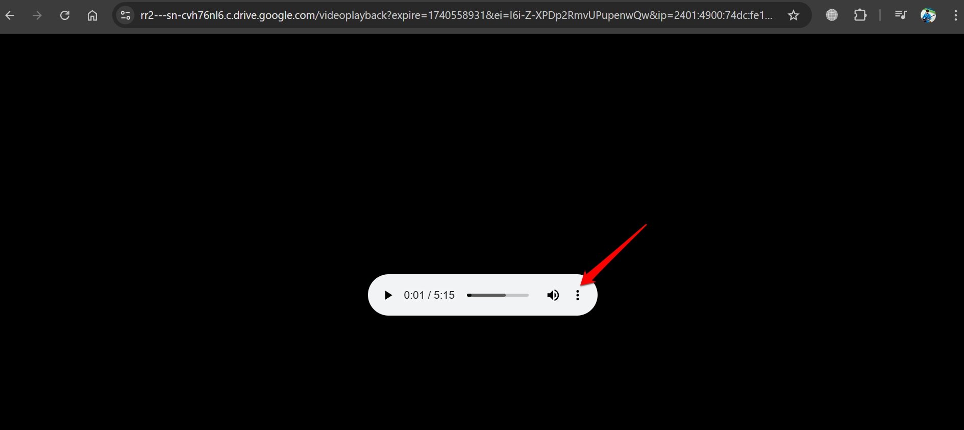 Download Protected Google Drive Videos: Save Restricted Video 14 option to download extracted audio from video