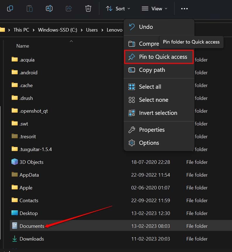 pin item to file explorer quick access
