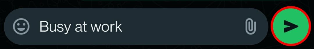 What Do the Different Icons and Symbols Mean on WhatsApp 22 press the send button to deliver your WhatsApp message