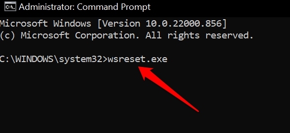How to Fix Sticky Notes Not Working on Windows 11? 11 reset windows store using cmd