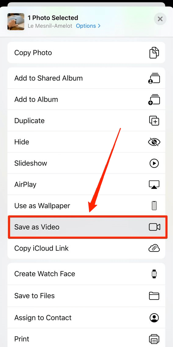 save live photos as videos on an iPhone