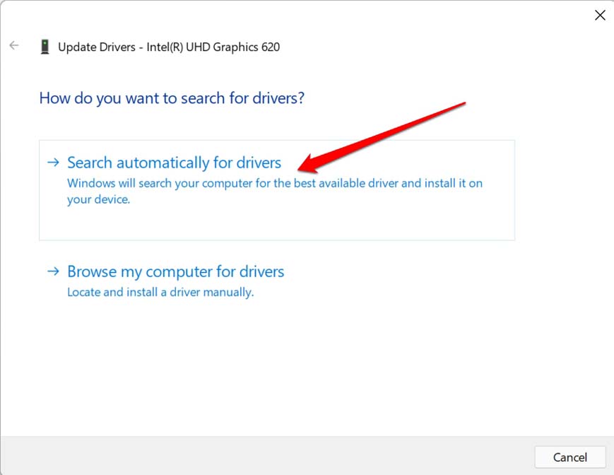 How to Fix Windows 11 Black Screen Issue? 8 search for drivers