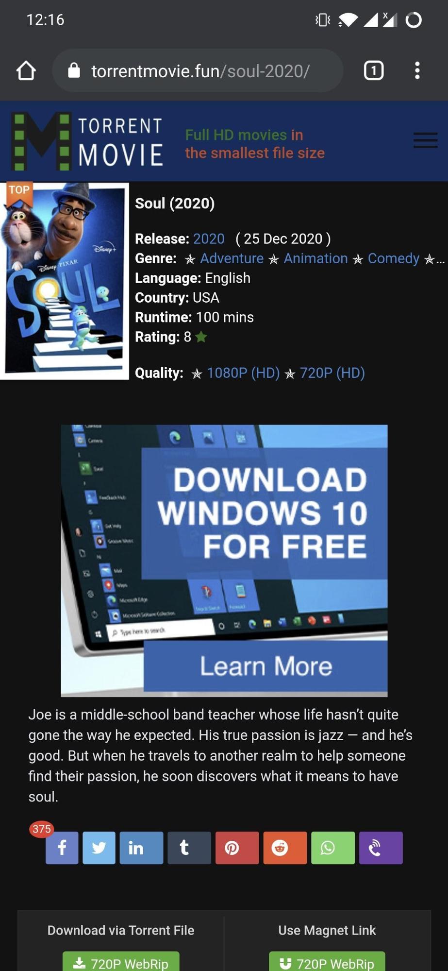search for torrent file