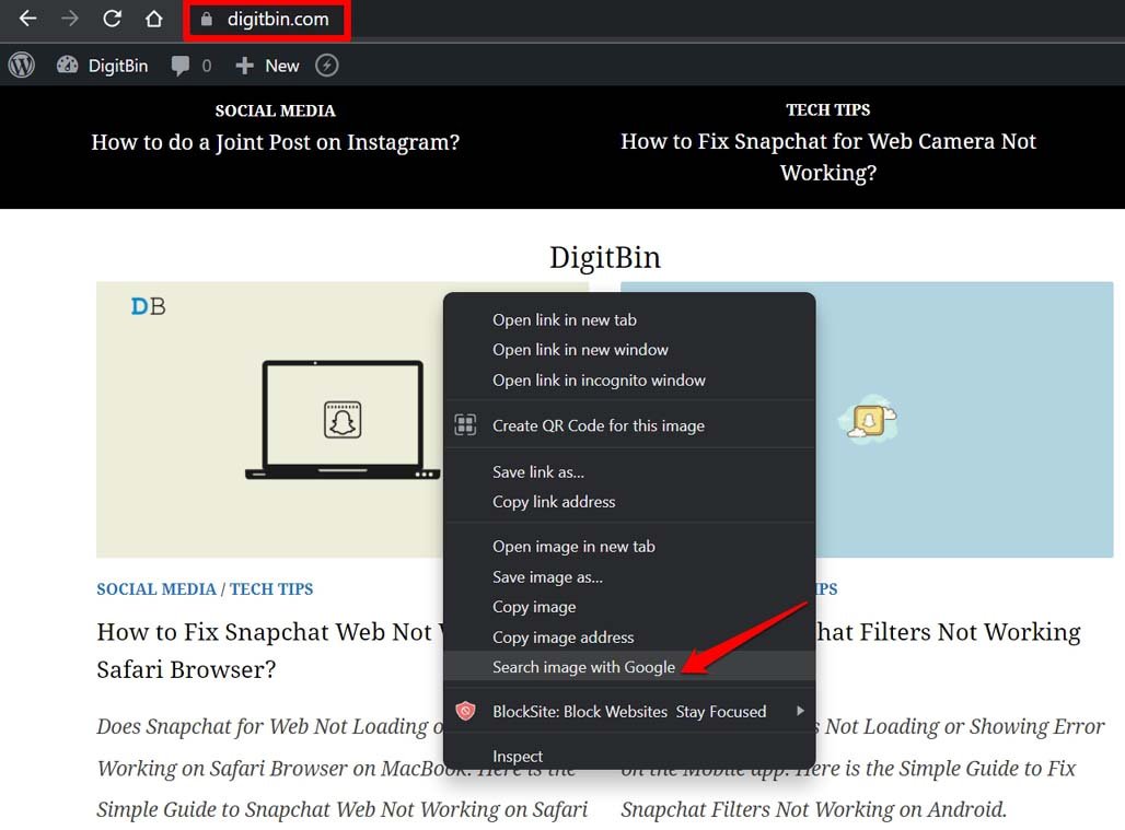 search image using Google Lens from a website