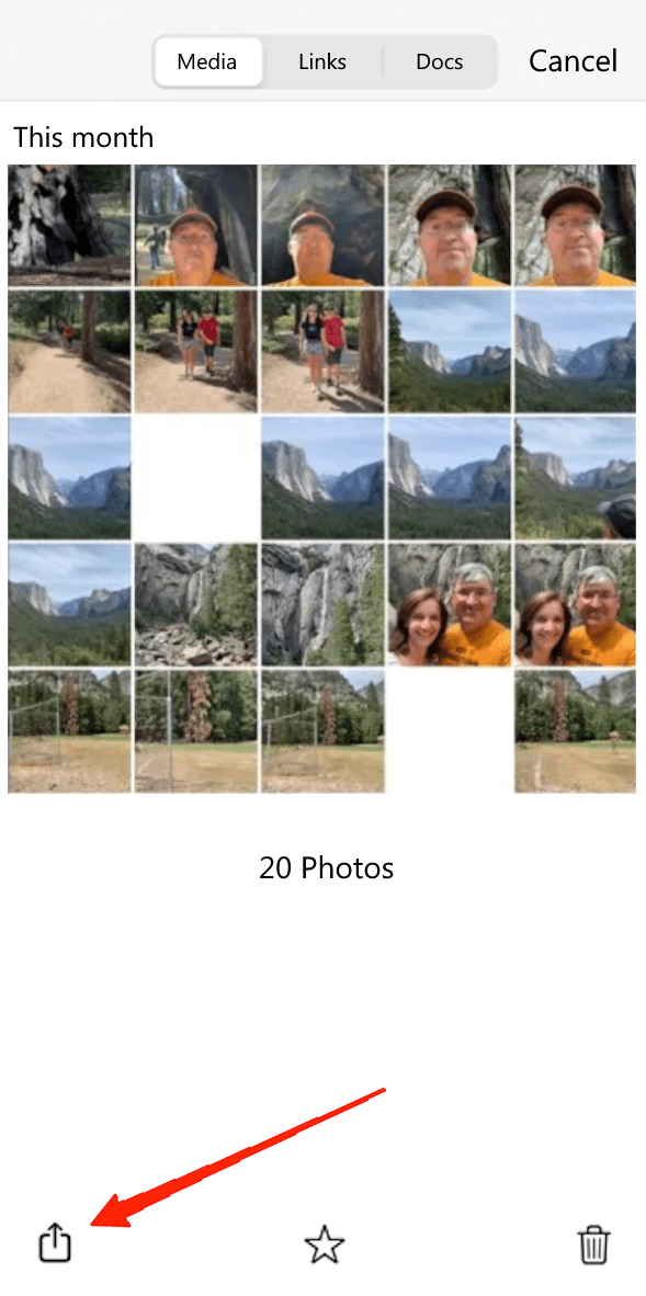How to Download Multiple Photos/Videos from WhatsApp 3 select all the photos and videos you wish to download.