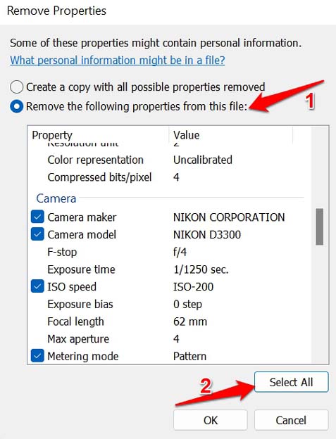 How to Remove Location Data From Photos on Windows OS? 3 select which image metadata to remove